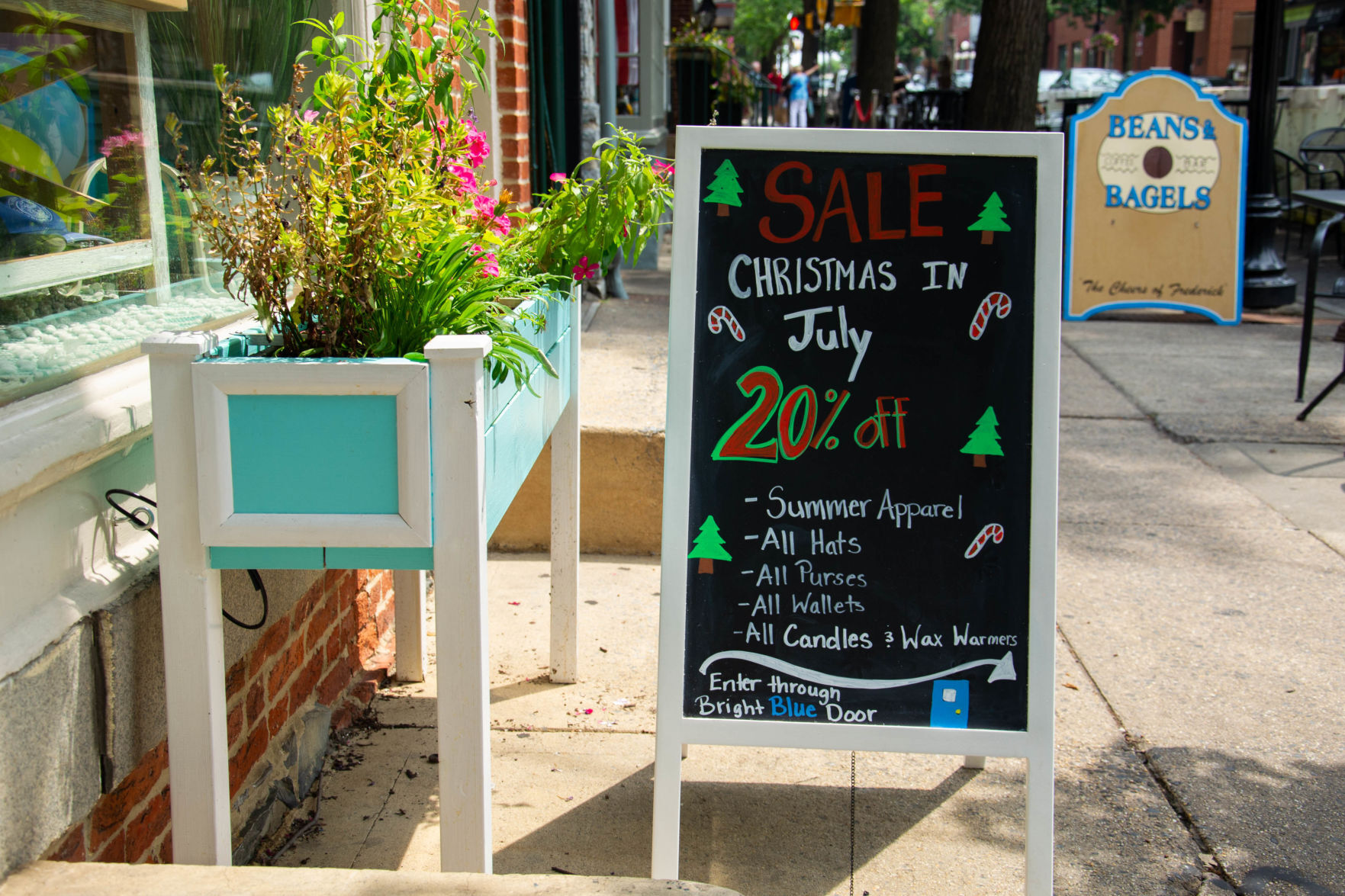 augusta rose, chalk sign